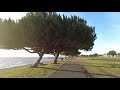 Walking in Shoreline Park, Oakland California - 4k - Part 5