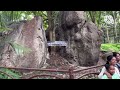 Bannerghatta National park || Bannerghatta National Park full tour