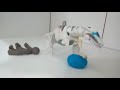 La unión hace la fuerza (Stop motion)