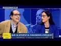 🔴 COMUNISTA vs CAPITALISTA  | OpinaCat