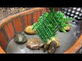CocaCola in Garden - Garden Decorations - Egg Tray and Cement