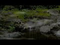 Rain Sound And Beautiful Piano Music For Relaxation   Deep S