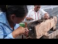 Stingless Bees Guard Tasty Honey With Barricades, Bouncers and Bites | Deep Look