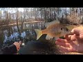 Cold water bluegill fishing