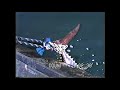 Old School Tuna Fishing! Bluefin Tuna caught on Handline, 1989