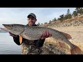 MASSIVE Pike on JERKBAITS | 10 YEAR JOURNEY to CATCH A 40INCH PIKE