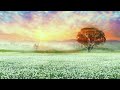 Relaxing Music that Spreads Healing in the Heart and Rejoices the Soul