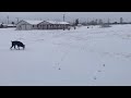 Snow Day at the Fairgrounds