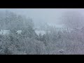 🏡House In Snow Forest - Winter Relaxing Piano Music - Deep Sleep Music - Meditation Yoga Music #40 ,