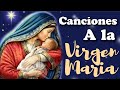 Enséñame María❤Cantos a la Virgen María❤Canción Virgen del Rosario