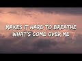 Royal & the Serpent - Overwhelmed (Lyrics)