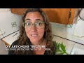 DIY Artichoke Tincture: Making Medicine with Dr. Orna