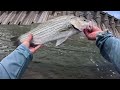 This MASSIVE SPILLWAY Was Drained 5 YEARS AGO?!? (Unbelievably Loaded)