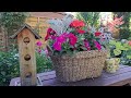 Welcome to My Cozy Garden | Flower Garden Tour