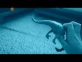 trex vs spinosaurus  deniz altında oyuncak dinozor part 2