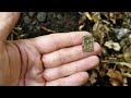 I almost got ATTACKED metal detecting at the 1876 Homesite!