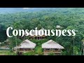 Consciousness. Video Cinematic Poetry & Music. Klip. Balada Kehidupan.lv 0 20240329162419