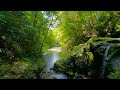 ASMR, Relaxing Nature Sounds
