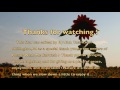 Please Wash Me Carwash - Sunflower Field DJ Nick T Video Tribute