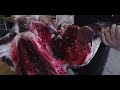 How to Butcher a Deer at Home Economy Style (Make Your Deer Meat Last All Year) The Bearded Butchers