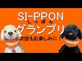 北海道盲導犬協会　～SI-PPONグランプリ　Vol.18～