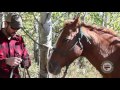 Tips for Hunting with Horses