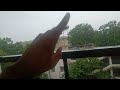 It's raining !! NIT Kurukshetra Hostel 10