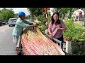 Cùng Ba đập hộp NÚT BẠC YOUTUBE & CAMERA xịn xò tại nhà vườn Châu Đốc - An Giang | SONG HỶ VLOG #369