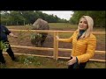 Good news for zoos in England. Holly reports from Chester Zoo