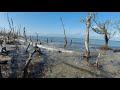 Fall Asleep to Beach Waves. Relax to the sights and sounds of a Gulf Coast Island.