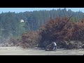 Beach mining Cape disappointment friends