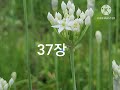 시편낭송31~40장