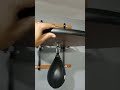 Everlast speed bag and platform and swivel model #4264