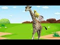 The Hen & the Giraffe| Animal cartoon For kids | Animal Story | Bedtime Story | Kids video| cartoon