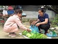 Cabbage Harvest & Coriander Go market sell | Cook pig food | Life in farm.