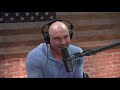 Joe Rogan Experience #1352 - Sean Carroll