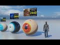 Animal, Dinosaur, and Sea Monster Eyeballs 3D Size Comparison