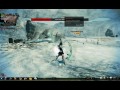 Vindictus 1 Bug(My hp is lost)