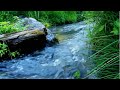 Music for Relaxation, calm your soul featuring river sounds   016