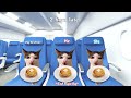 Cat MEMES Roatrip Compilation Full 2 Hour