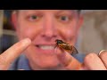 How Do Cicadas Make Noise? (I filmed one in ULTRA SlowMo at 110,000 fps) - Smarter Every Day 299