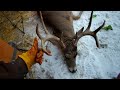 Andy 2022 Whitetail Buck