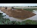 The first Dozers SHANTUI  Push Sand Rock In lake With Truck Dump 25Ton Delivery