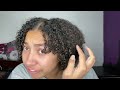 Maui Moisture Curl Smoothie VS Salon Selectives Curl Control | Wash n' Go