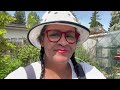May Garden Tour: I’m BEHIND ON PLANTING but Full of Hope! | Urban Homestead VLOG