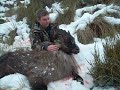 toms 13.25 inch bull tahr