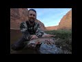 Grand Canyon Fishing.  Jay and Chase fish Lees Ferry