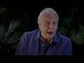 David Attenborough Meets a Black Widow Spider | Nature Bites