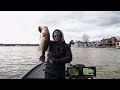 Fishing BIG Swimbaits for GIANT Bass! (LOADED!)