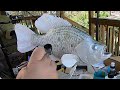 Wood Carving a Black Crappie  part 6  Painting